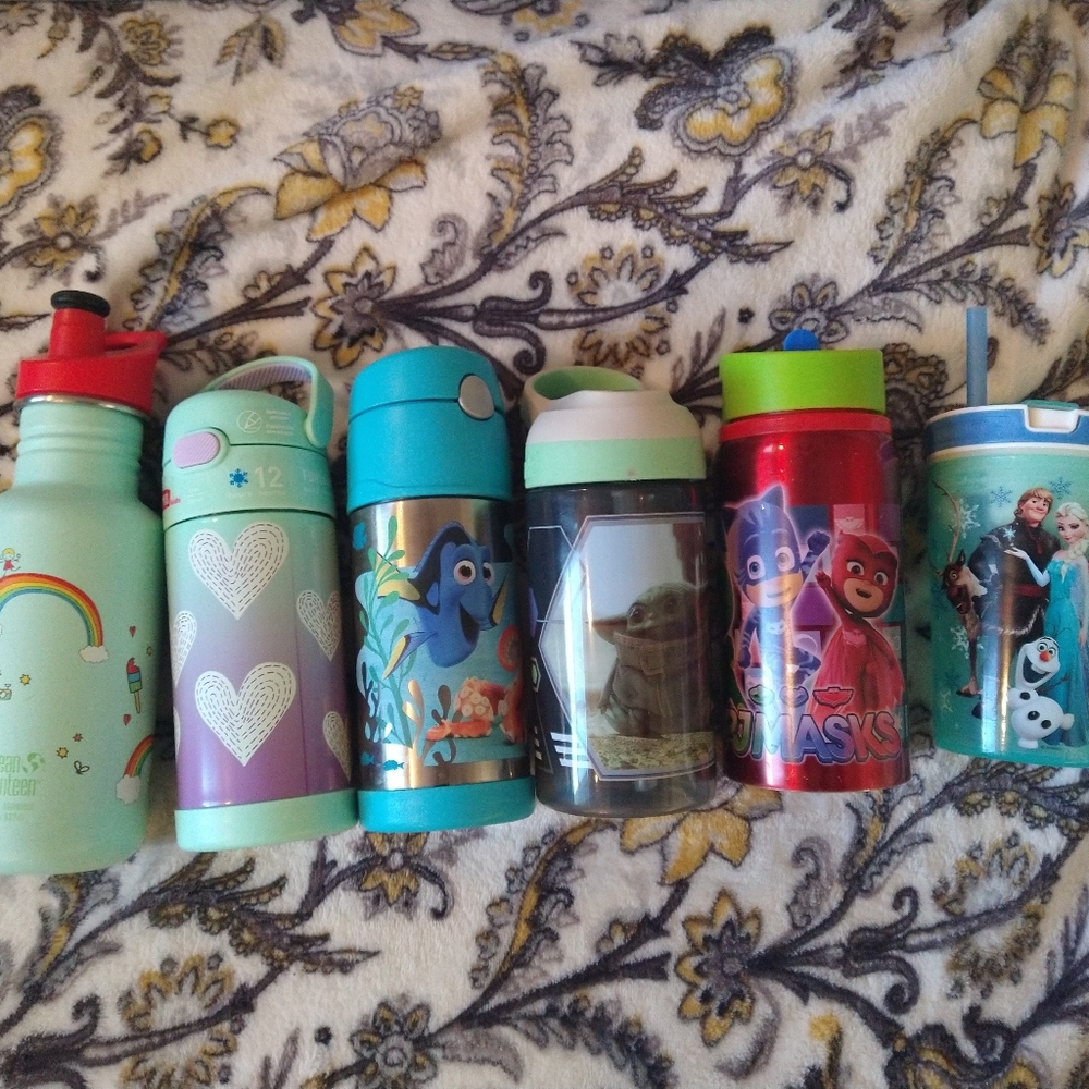 Thermos, Klean Kanteen, zak!, and snakeez drink containers.